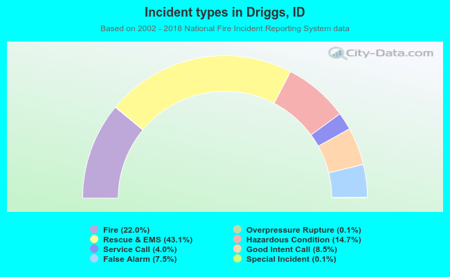 Incident types in Driggs, ID