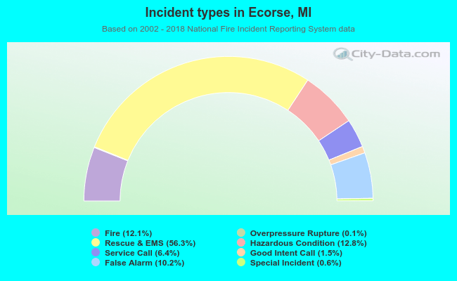 Incident types in Ecorse, MI