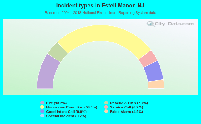 Incident types in Estell Manor, NJ