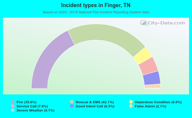 Incident types in Finger, TN
