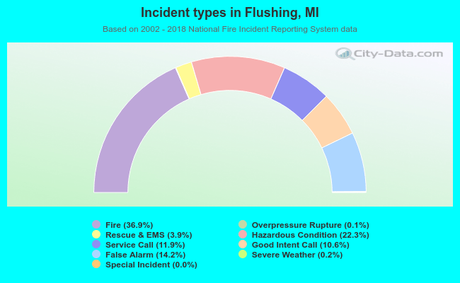 Incident types in Flushing, MI