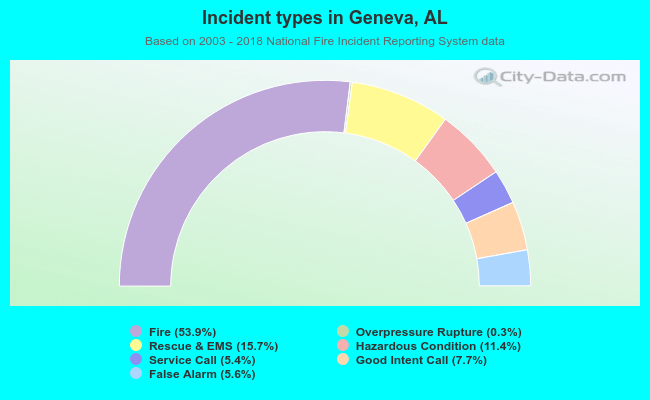 Incident types in Geneva, AL