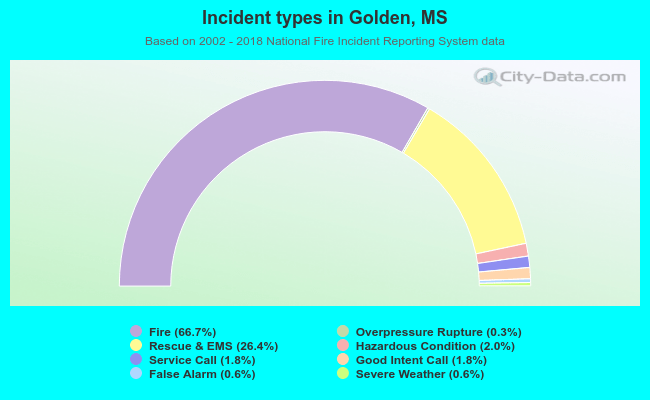 Incident types in Golden, MS