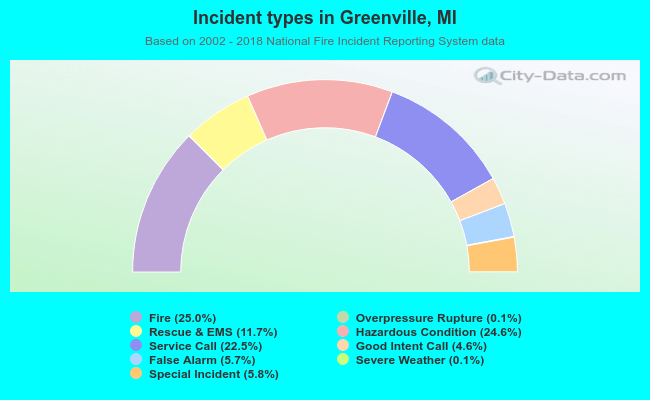 Incident types in Greenville, MI