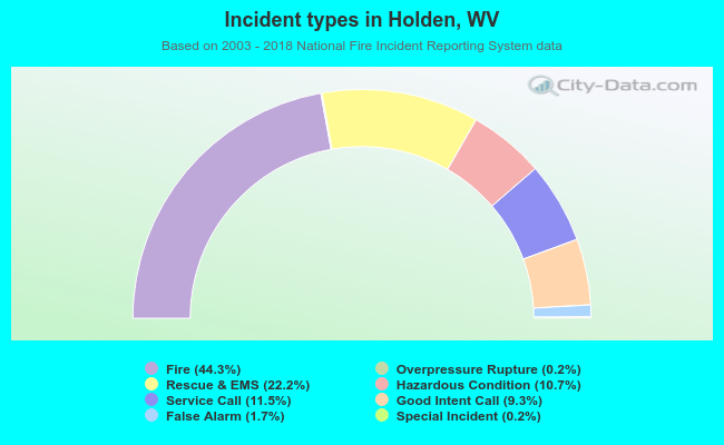 Incident types in Holden, WV