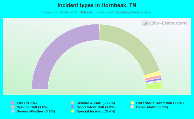 Incident types in Hornbeak, TN