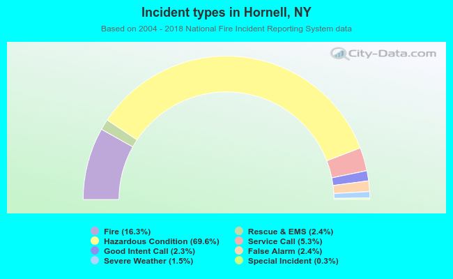 Incident types in Hornell, NY
