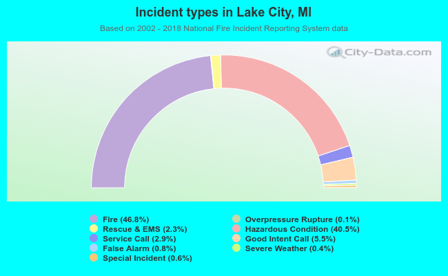 Incident types in Lake City, MI