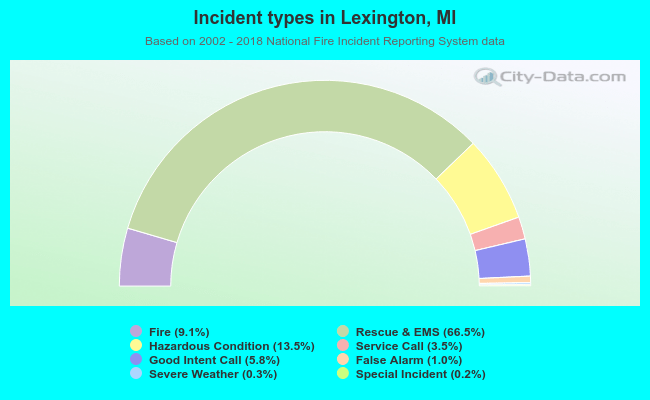 Incident types in Lexington, MI