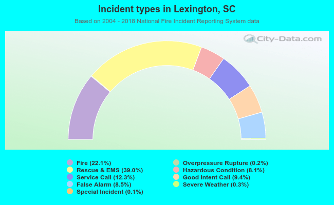 Incident types in Lexington, SC