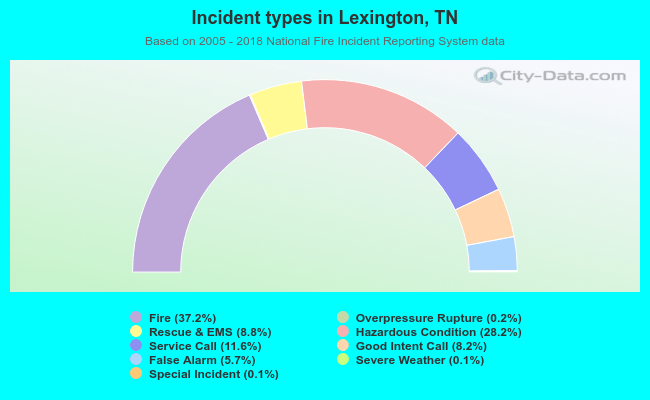 Incident types in Lexington, TN