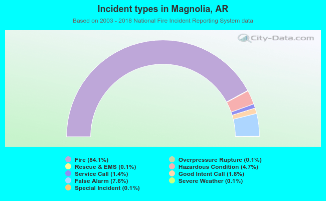 Incident types in Magnolia, AR