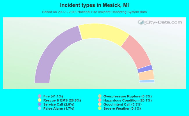 Incident types in Mesick, MI