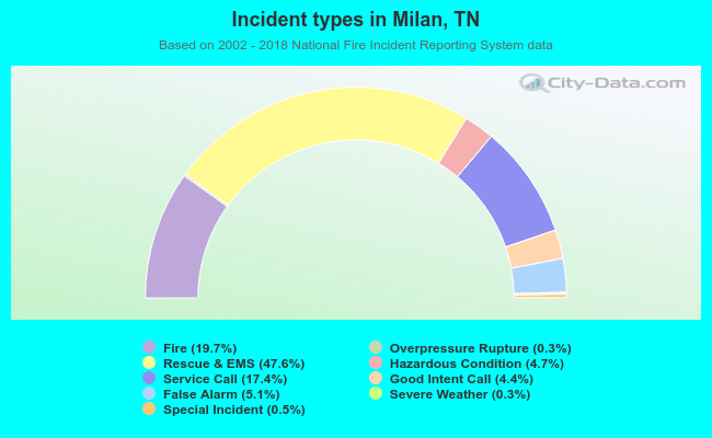 Incident types in Milan, TN