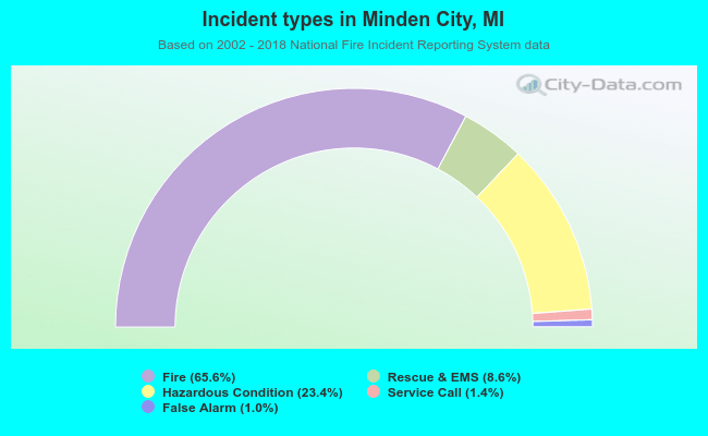 Incident types in Minden City, MI