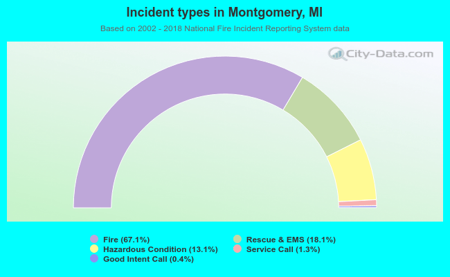 Incident types in Montgomery, MI