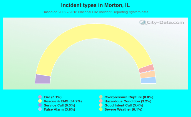 Incident types in Morton, IL