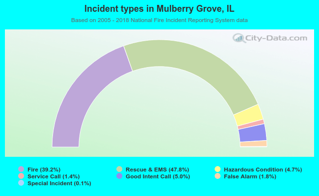 Incident types in Mulberry Grove, IL