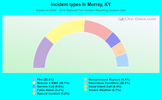 Incident types in Murray, KY