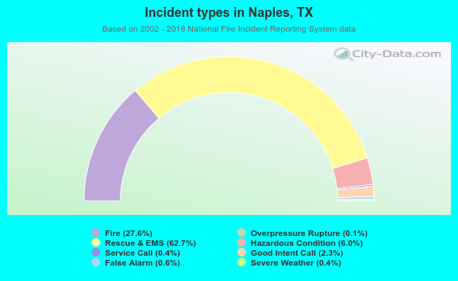 Incident types in Naples, TX