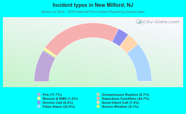 Incident types in New Milford, NJ