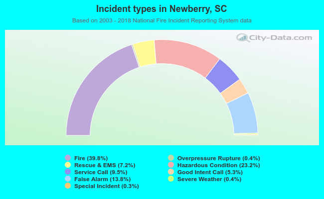 Incident types in Newberry, SC