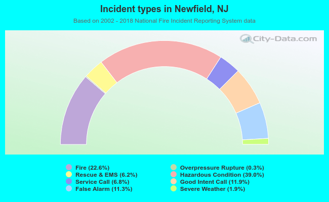 Incident types in Newfield, NJ