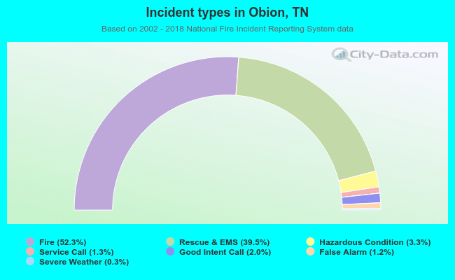 Incident types in Obion, TN