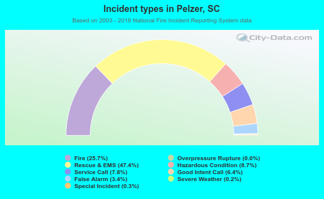 Incident types in Pelzer, SC