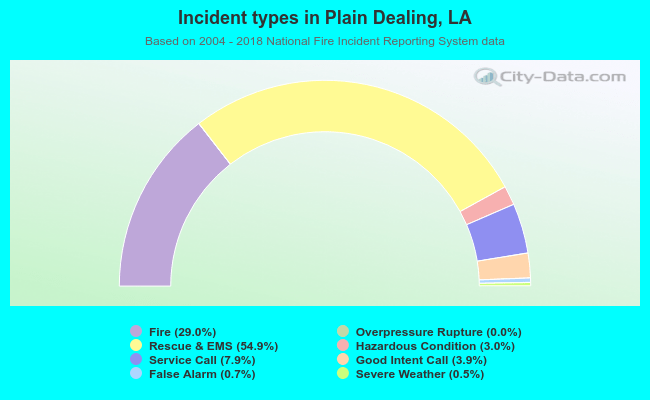 Incident types in Plain Dealing, LA