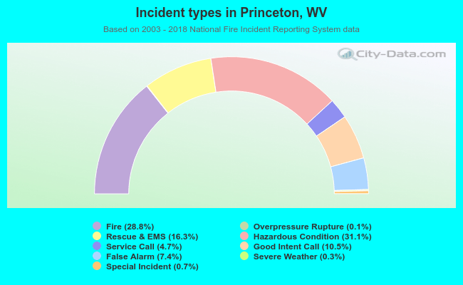 Incident types in Princeton, WV