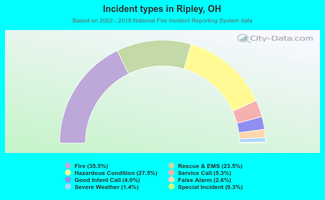 Incident types in Ripley, OH