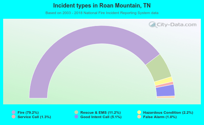 Incident types in Roan Mountain, TN