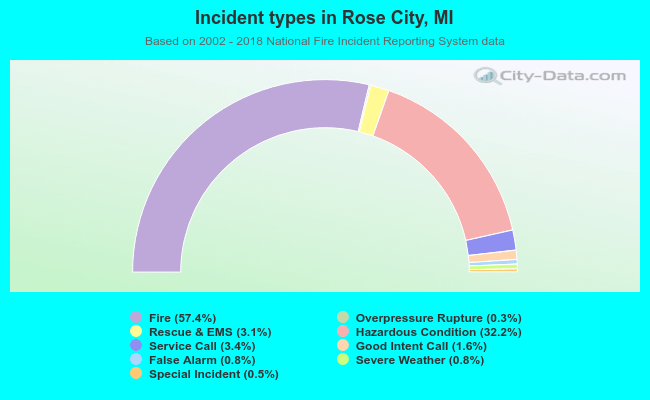 Incident types in Rose City, MI