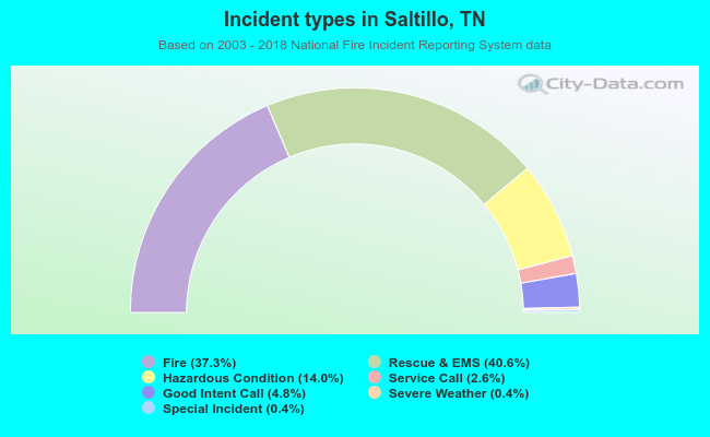 Incident types in Saltillo, TN