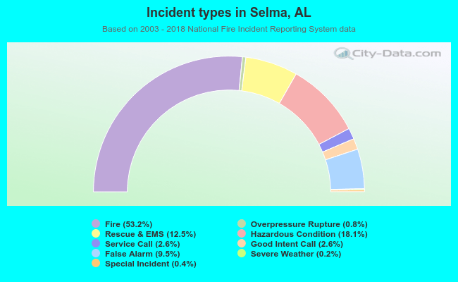 Incident types in Selma, AL
