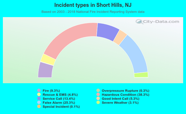 Incident types in Short Hills, NJ
