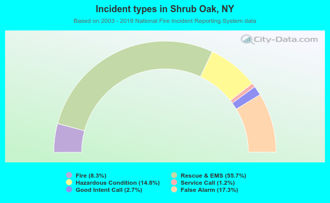 Incident types in Shrub Oak, NY