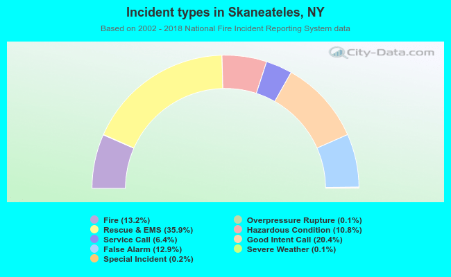 Incident types in Skaneateles, NY