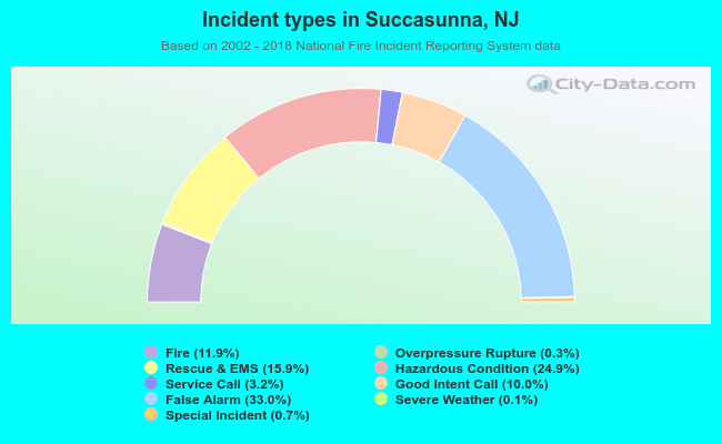 Incident types in Succasunna, NJ