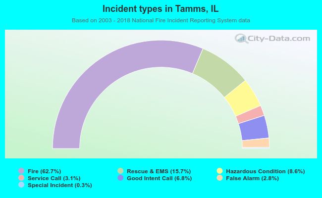 Incident types in Tamms, IL