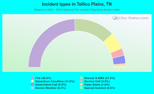 Incident types in Tellico Plains, TN