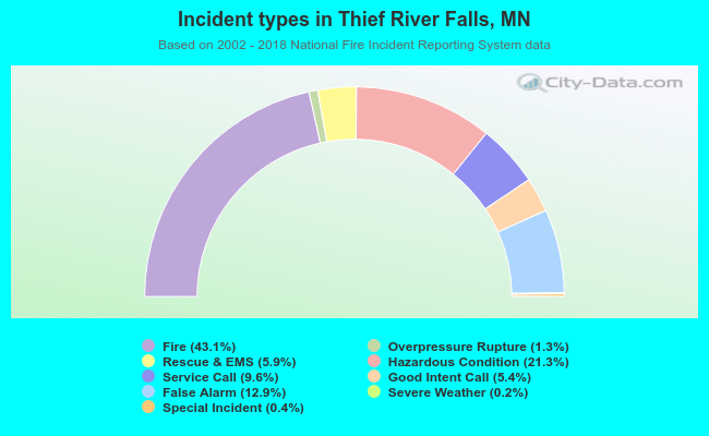 Incident types in Thief River Falls, MN