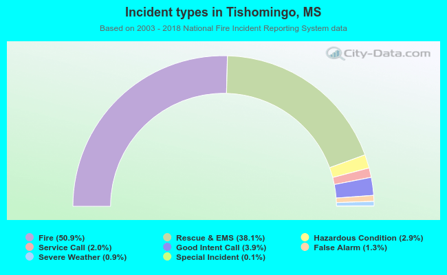 Incident types in Tishomingo, MS