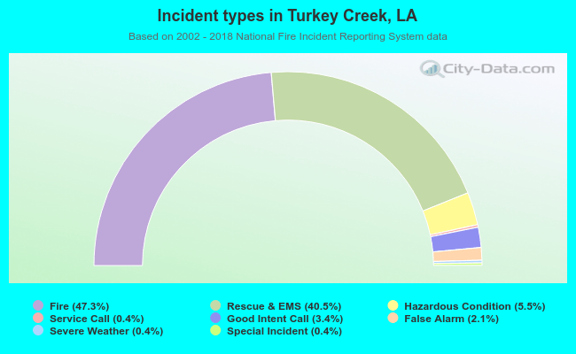 Incident types in Turkey Creek, LA