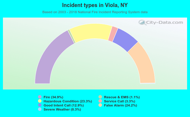 Incident types in Viola, NY