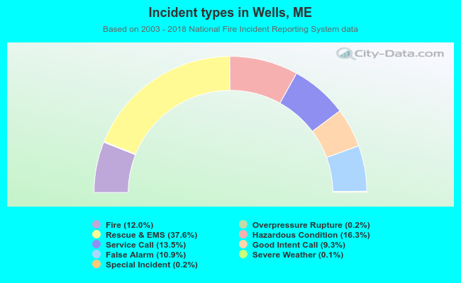 Incident types in Wells, ME