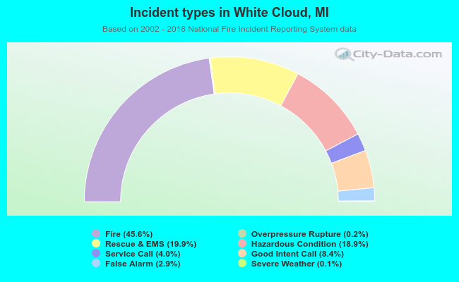 Incident types in White Cloud, MI