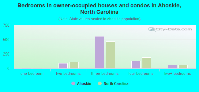 Bedrooms in owner-occupied houses and condos in Ahoskie, North Carolina