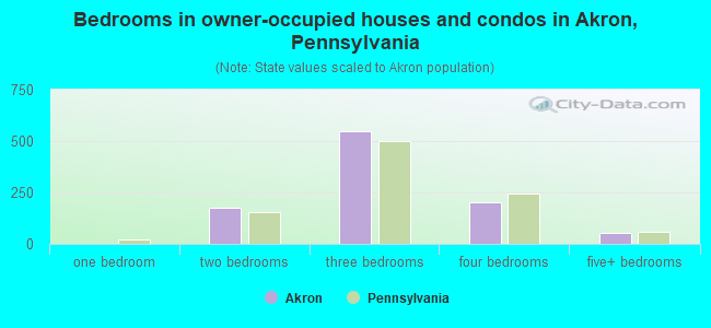 Bedrooms in owner-occupied houses and condos in Akron, Pennsylvania